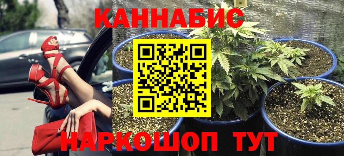 Бошки Шишки LSD WEED  Канабис Bruce Banner  Каннабис Bruce Banner  Великий Устюг  Вход с VPN  Марихуана ГИДРОПОН 